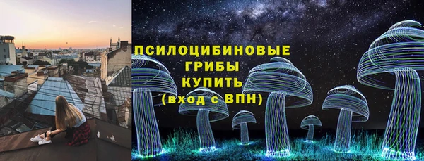 не бодяженный Дмитров