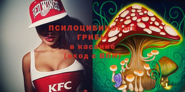 не бодяженный Дмитров